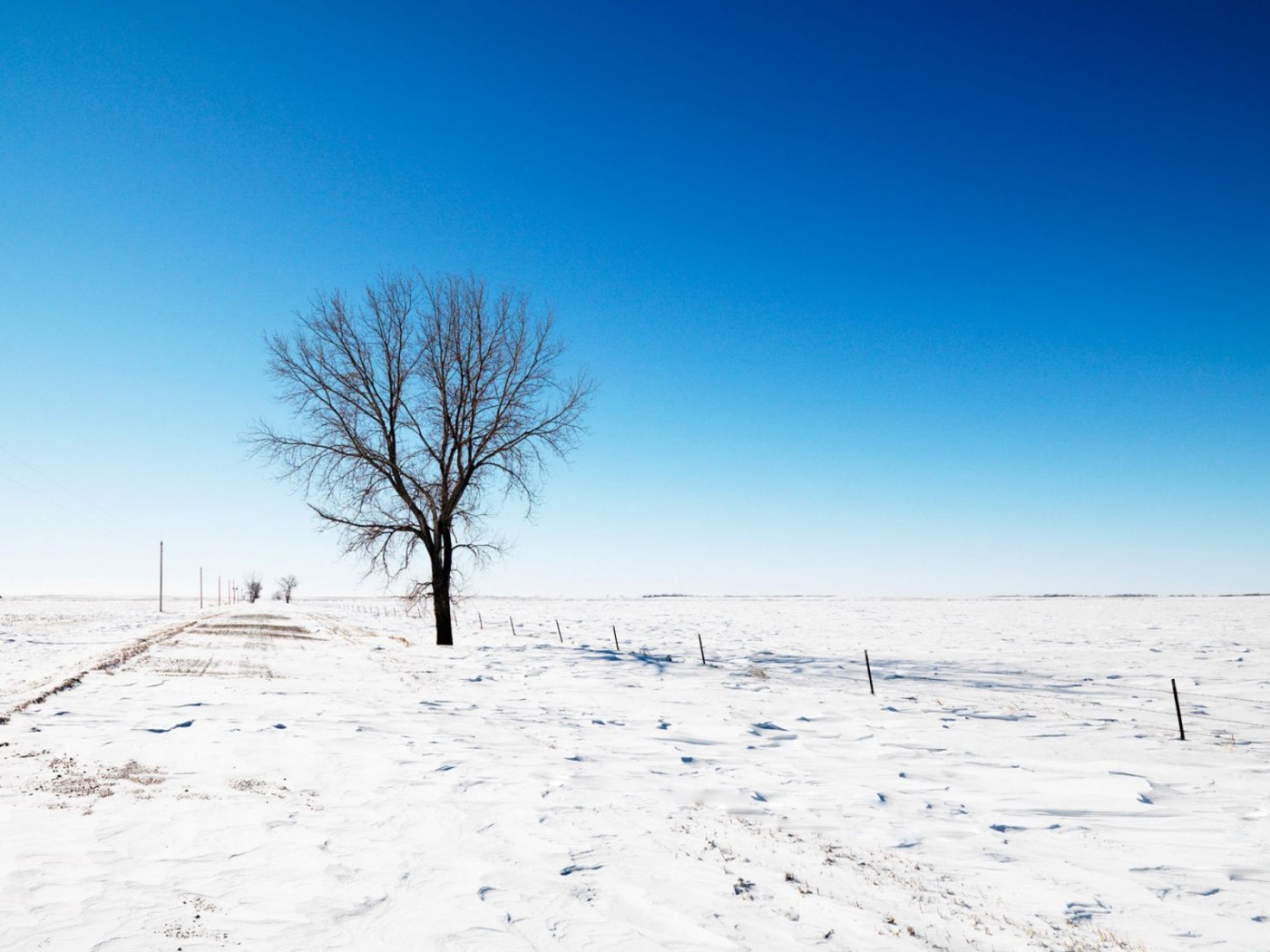 Alone Snow Nature