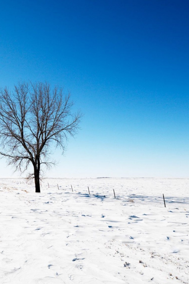 Alone Snow Nature