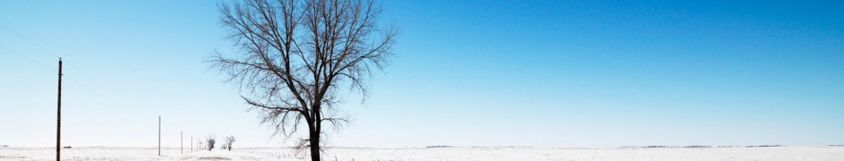 Alone Snow Nature