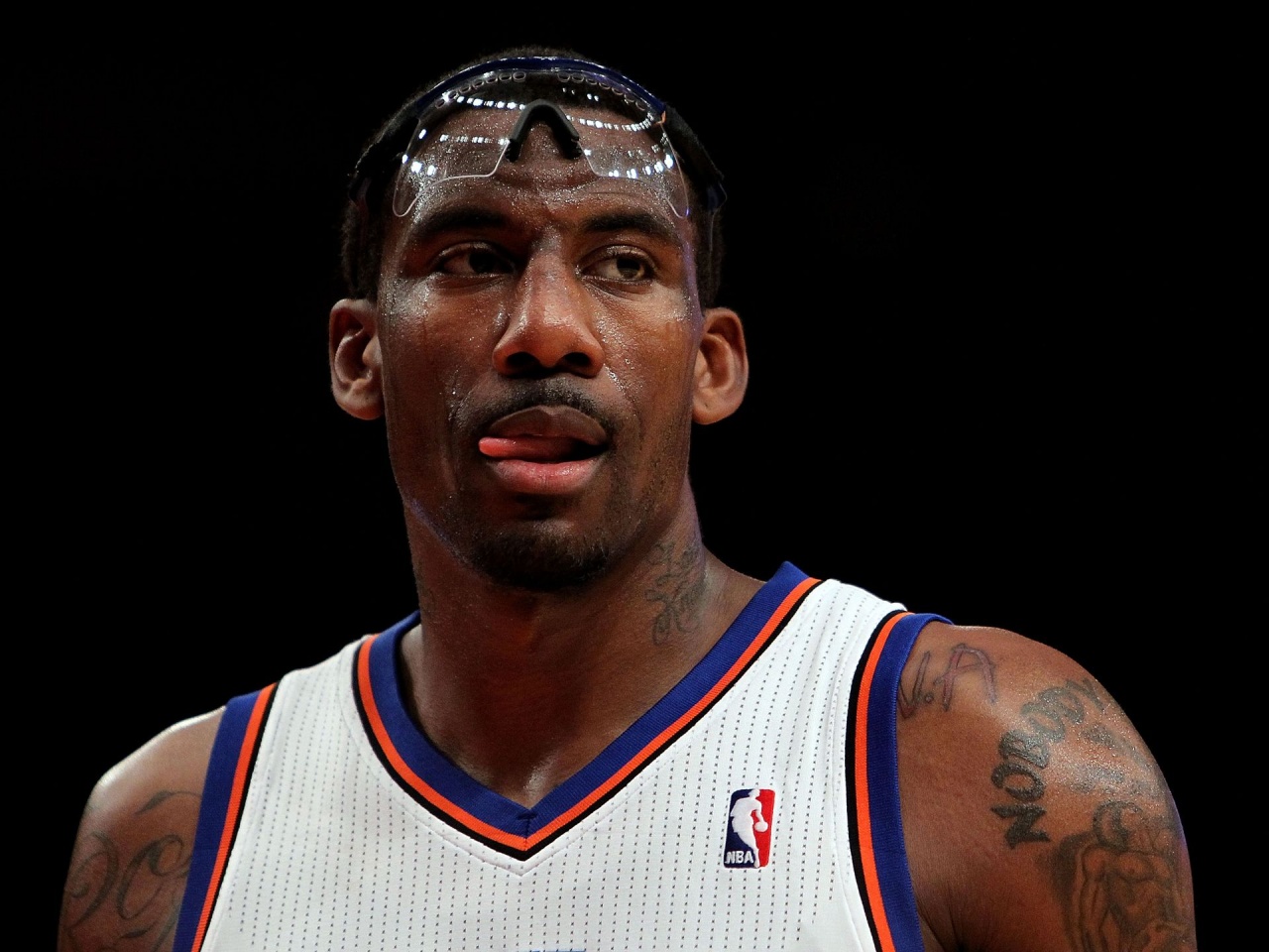 Amare Stoudemire1