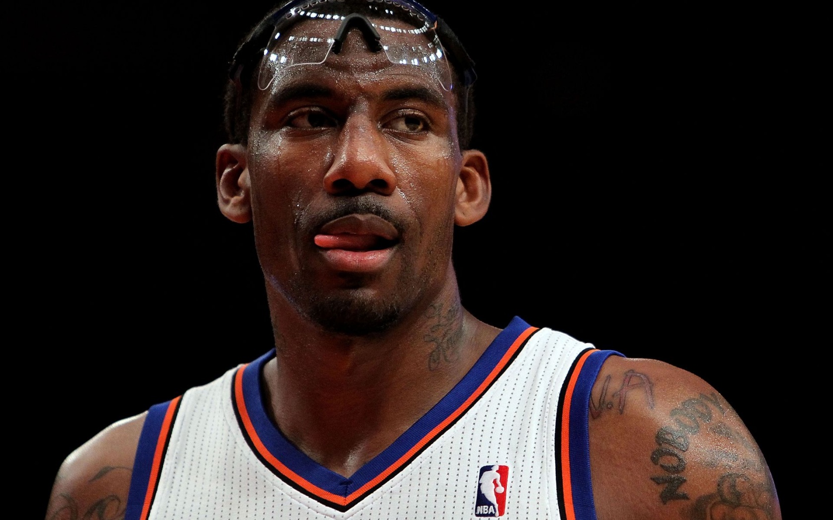 Amare Stoudemire1