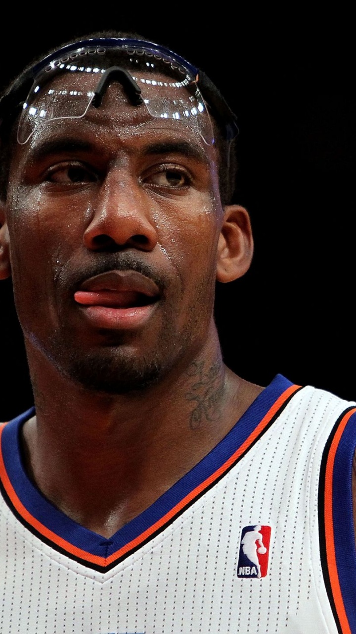 Amare Stoudemire1