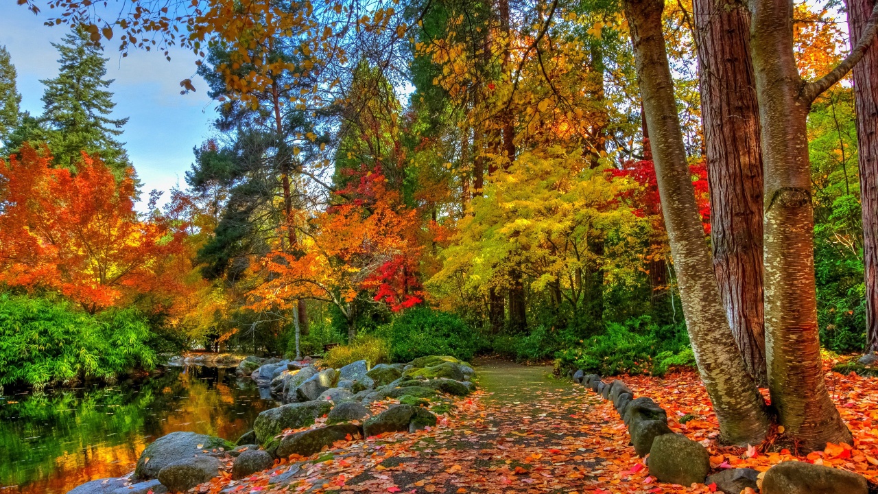 Amazing Autumn Colors