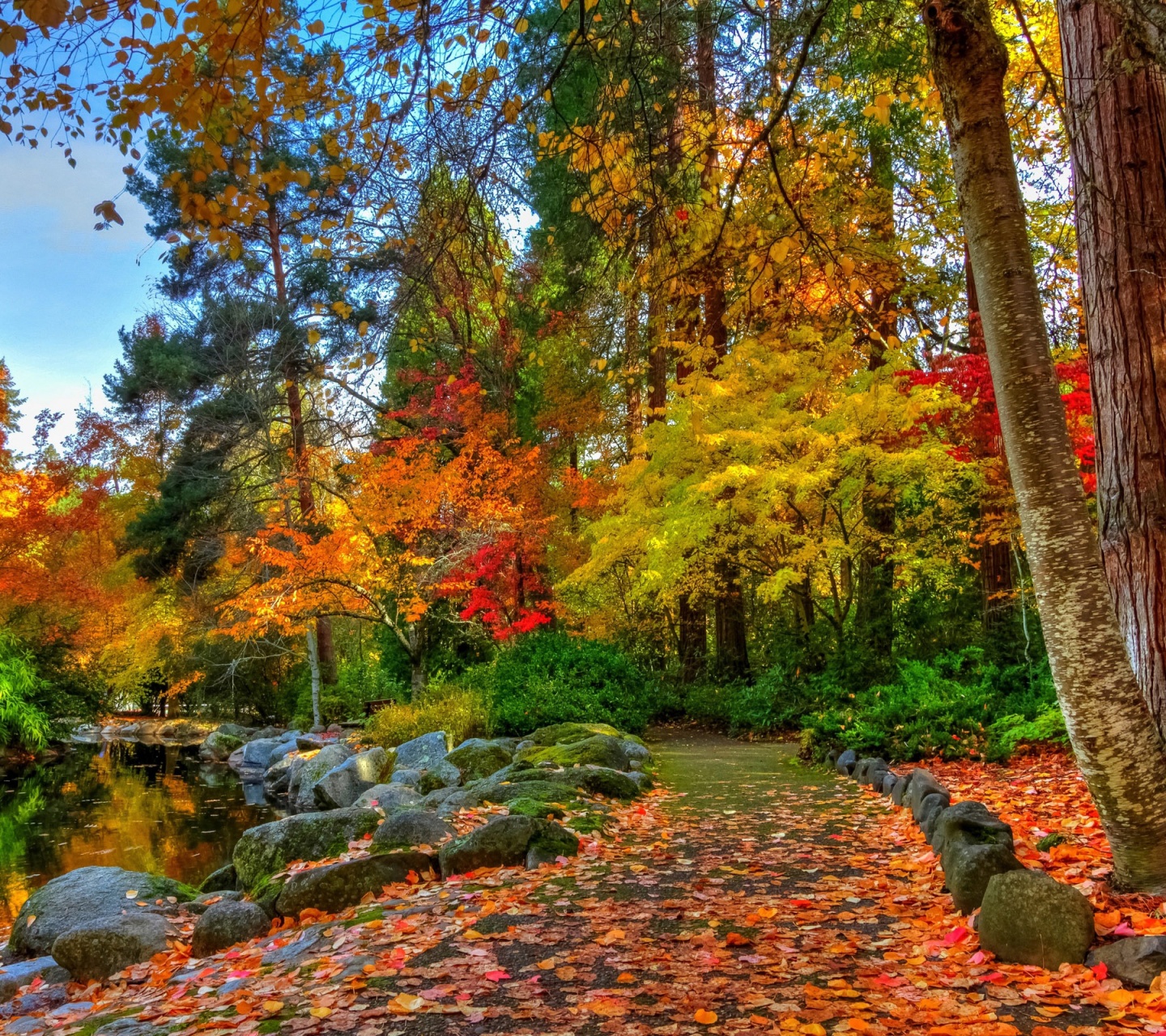 Amazing Autumn Colors