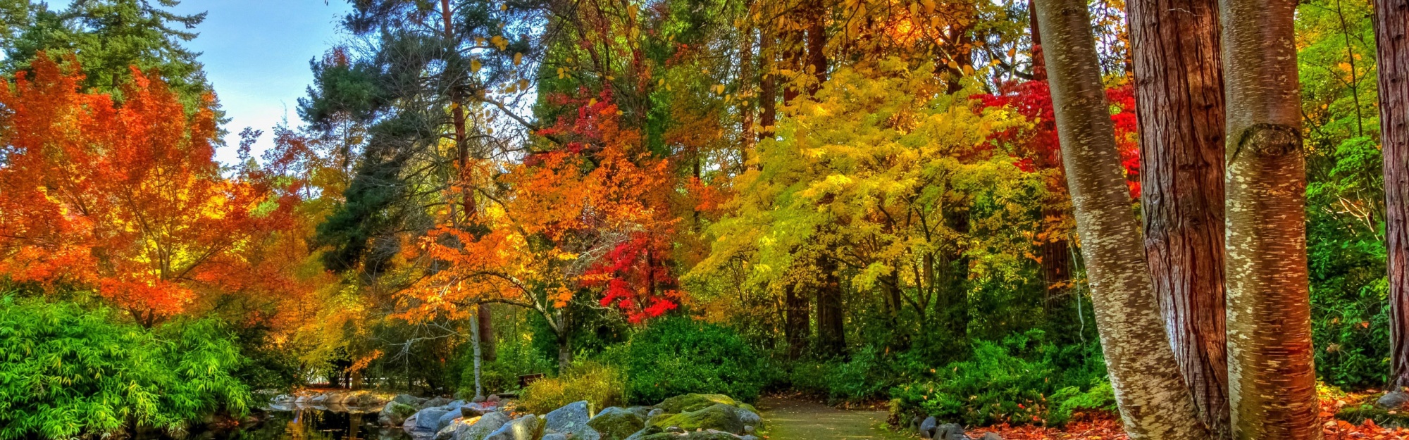 Amazing Autumn Colors