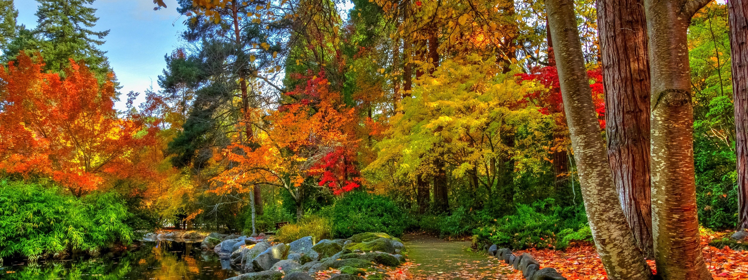 Amazing Autumn Colors