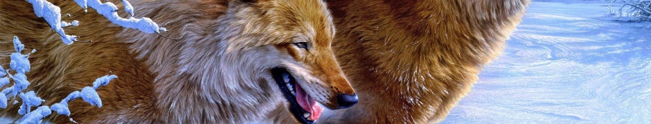 Amazing Wolves1