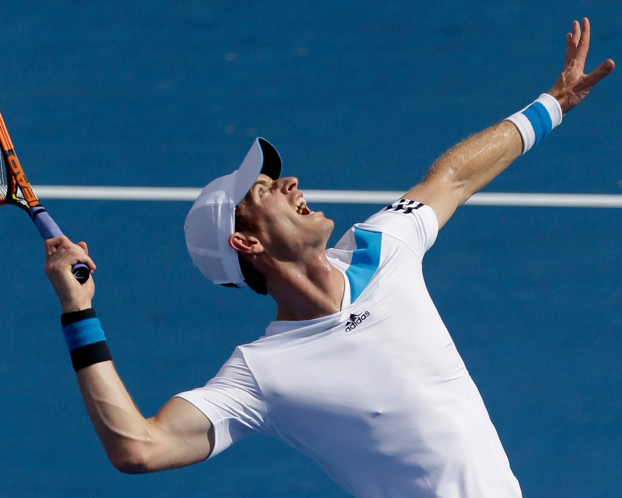 Andy Murray Australian Open