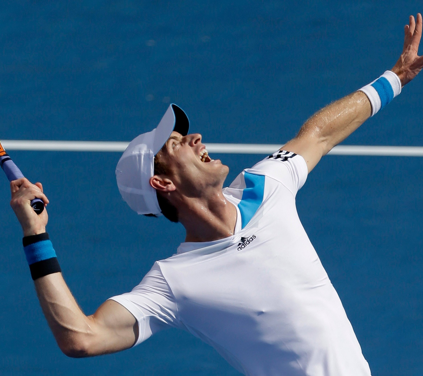 Andy Murray Australian Open