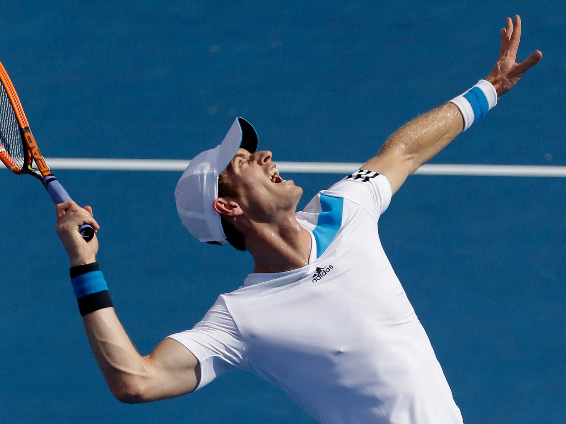 Andy Murray Australian Open