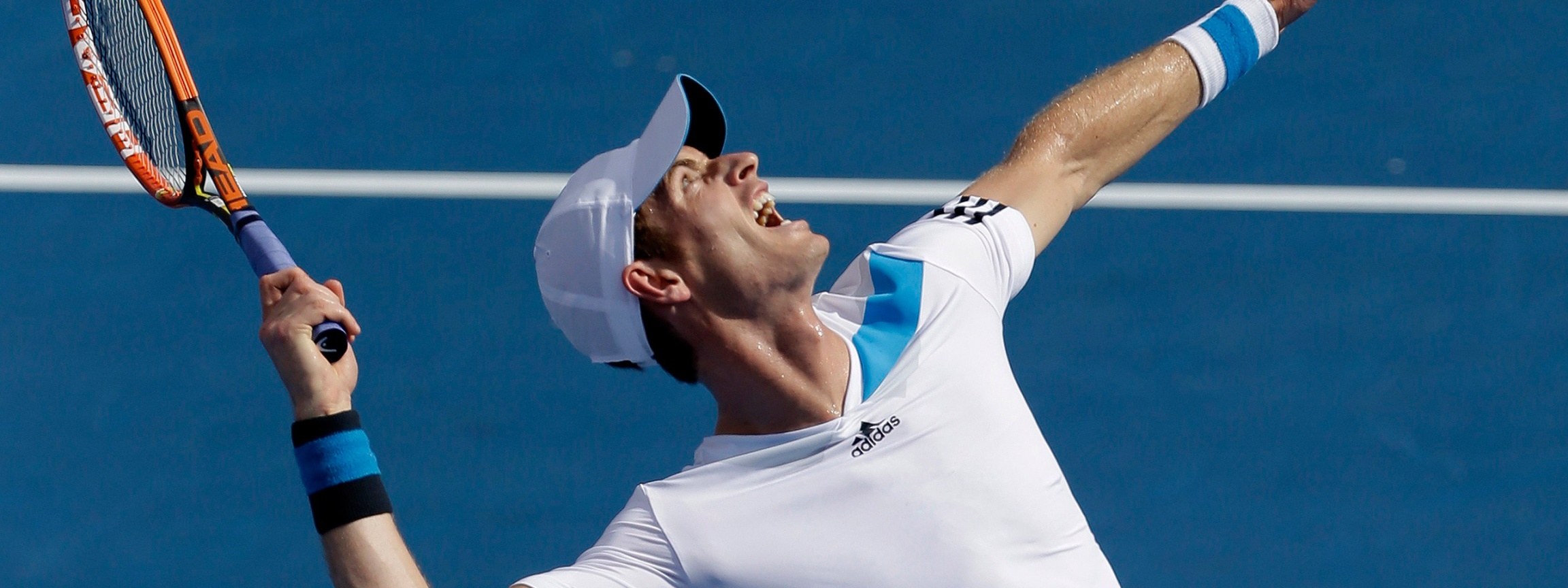 Andy Murray Australian Open