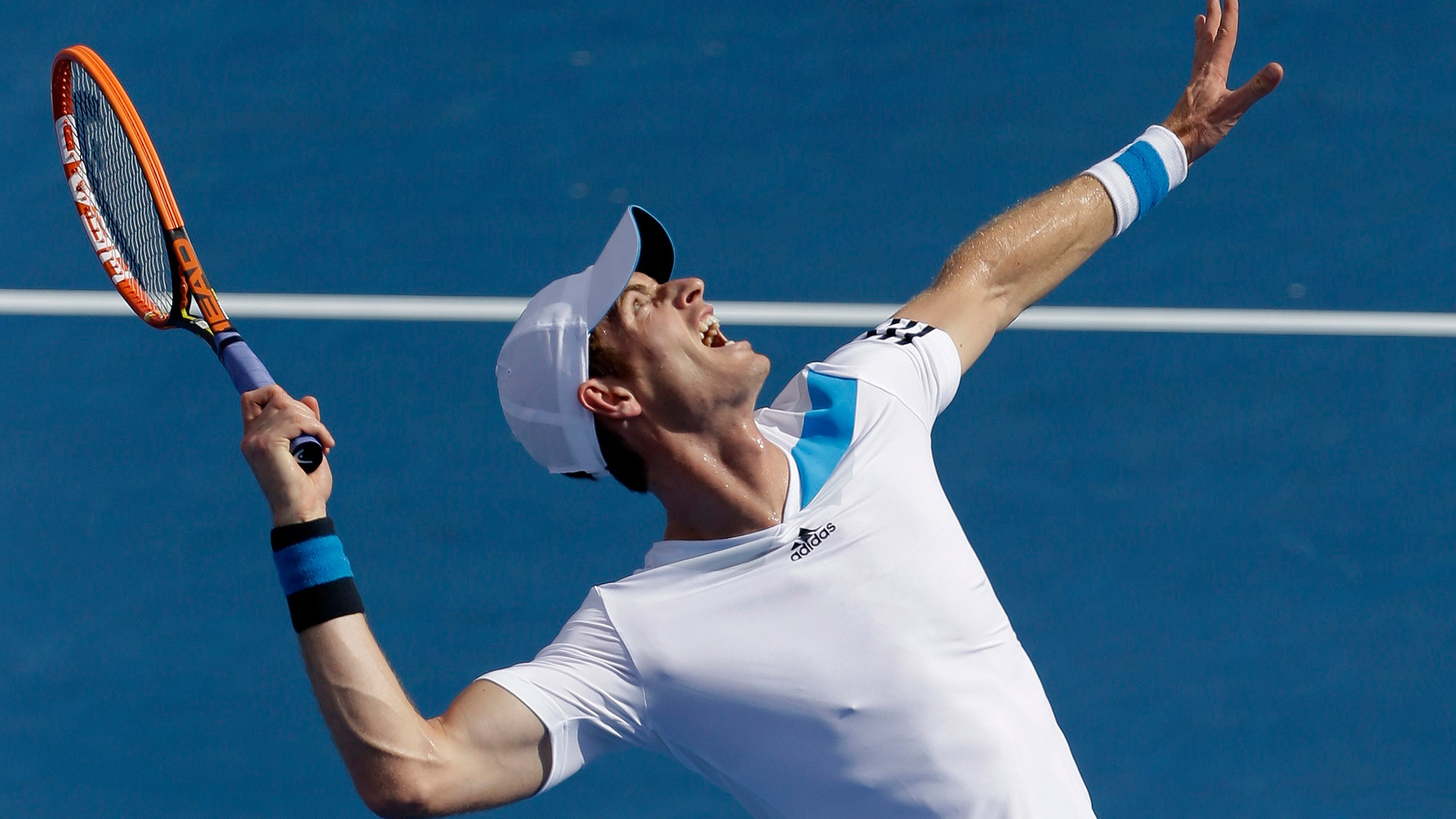 Andy Murray Australian Open