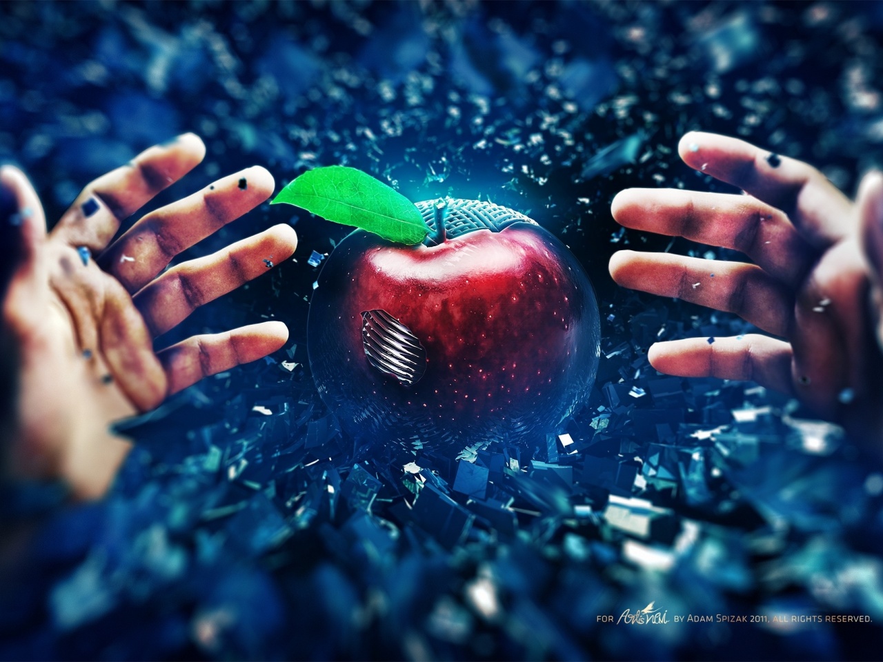 Apple Battle