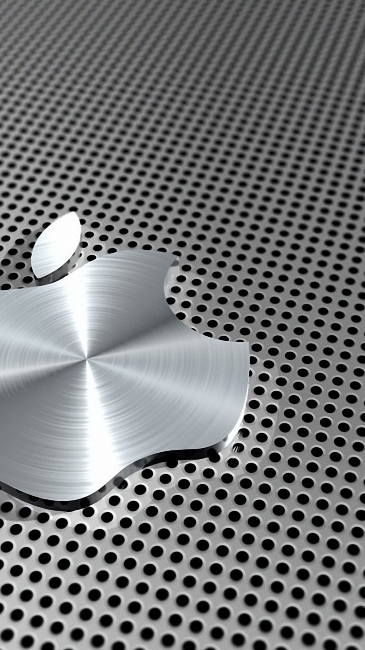 Apple Logo Stainless Steel Computer