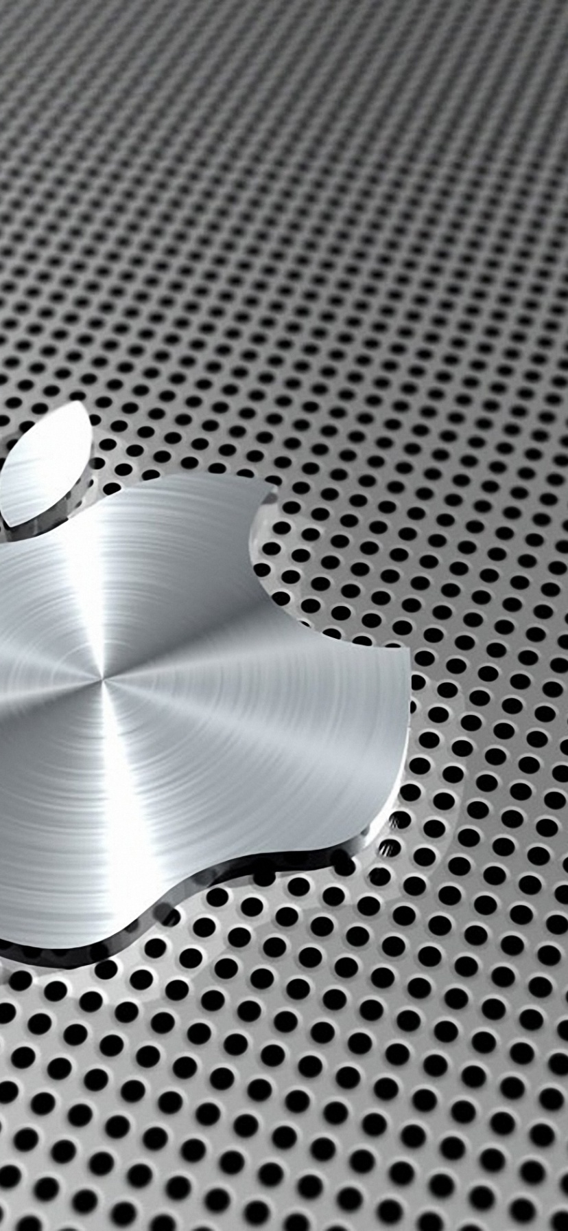 Apple Logo Stainless Steel Computer