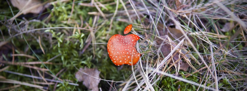 Apple Red Mushroom Background Computer