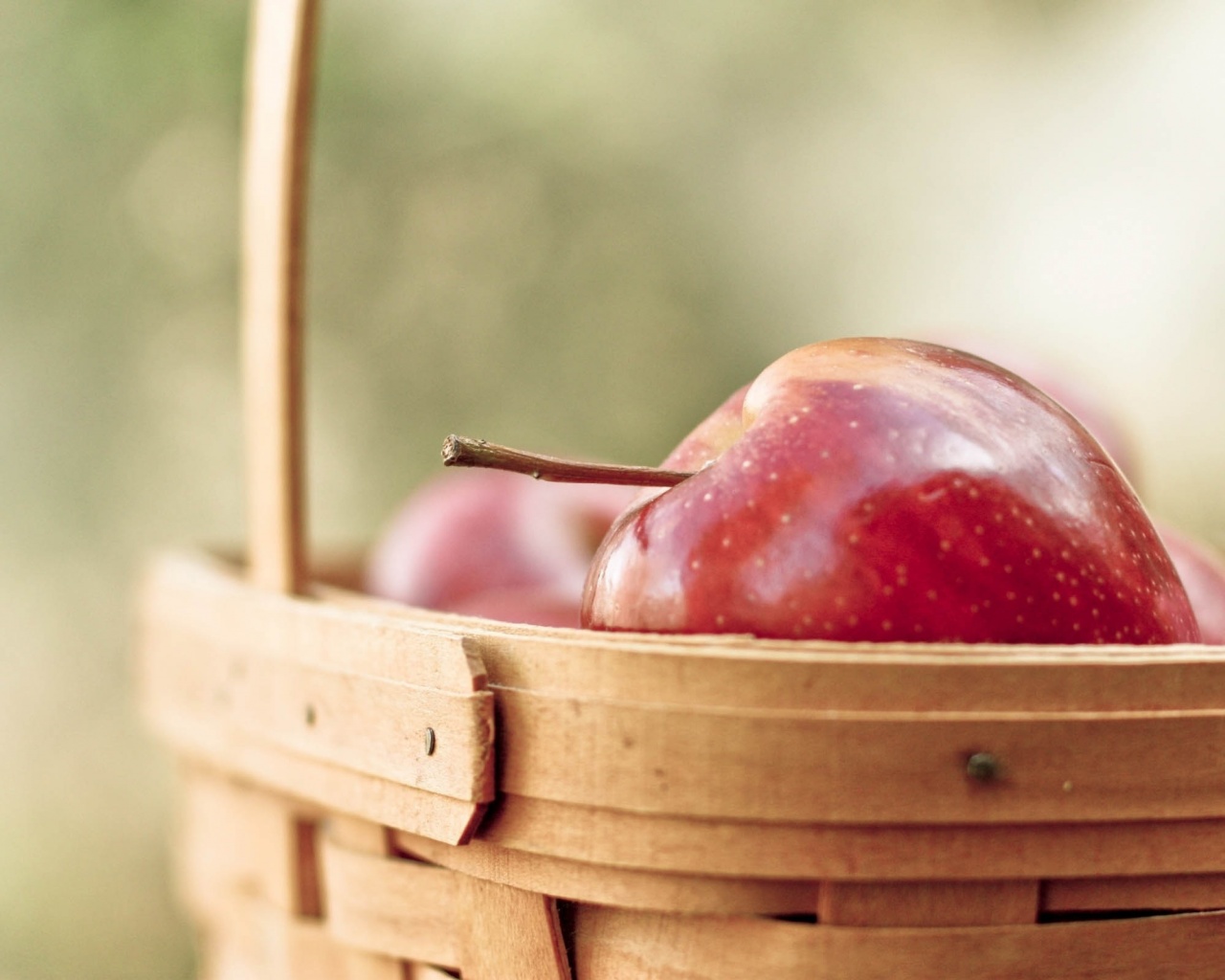 Apples Basket