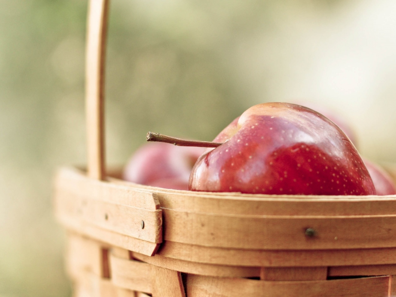 Apples Basket