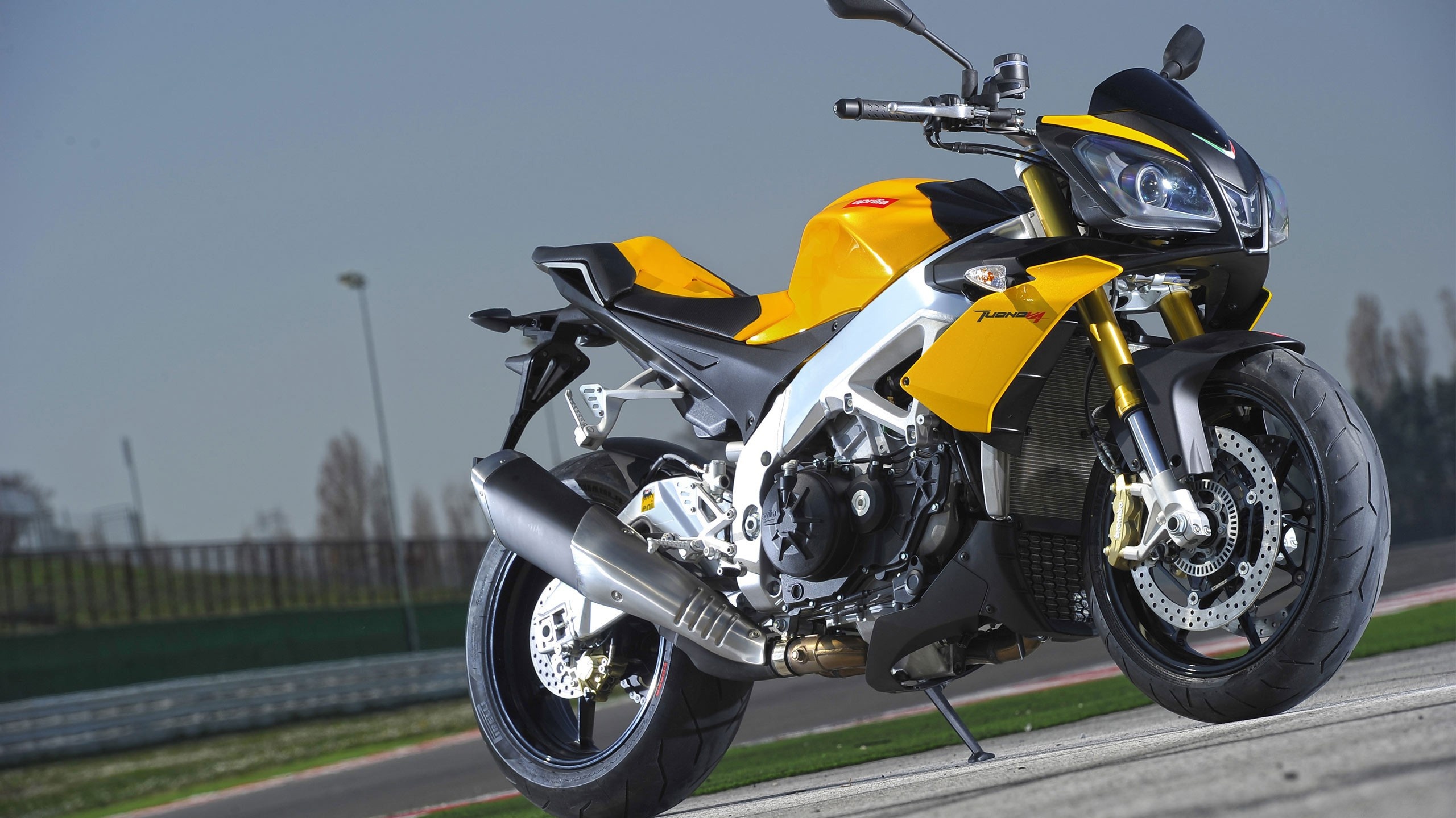 Aprilia Tuono V4 Motorcycles