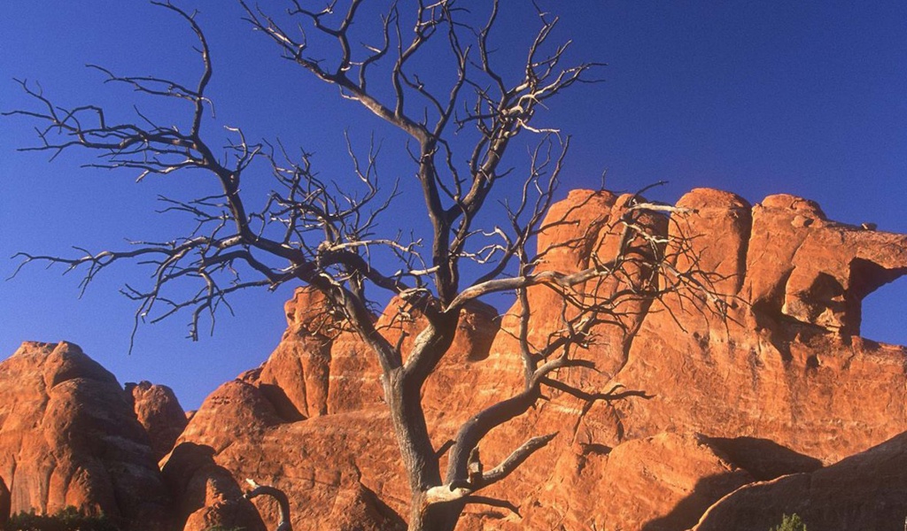 Arid Desert Utah