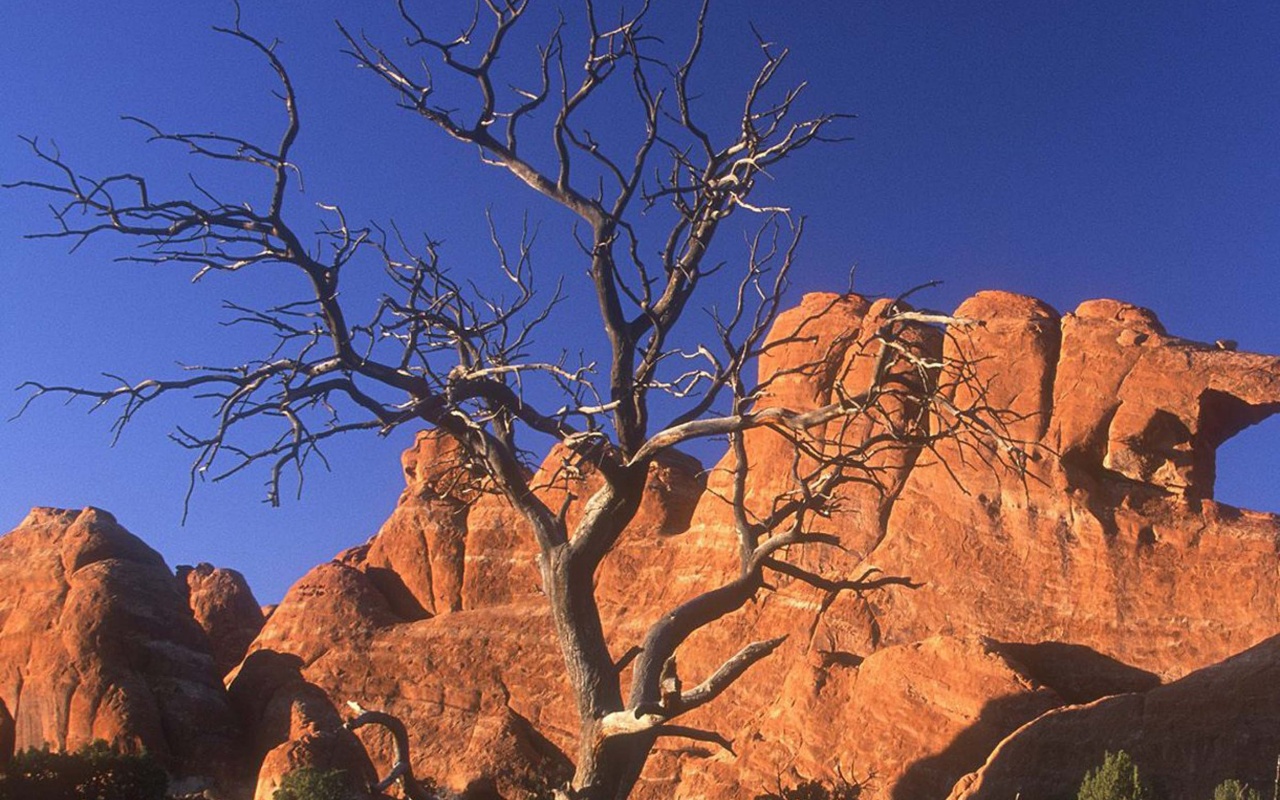 Arid Desert Utah