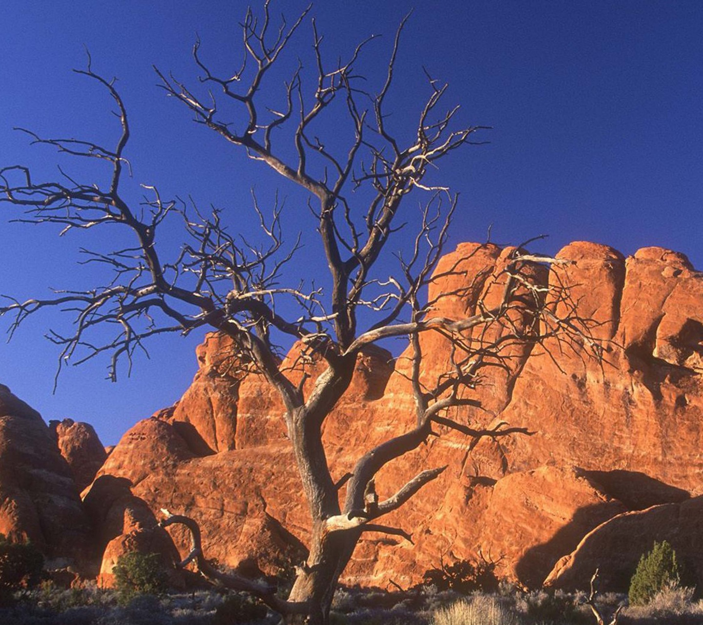 Arid Desert Utah