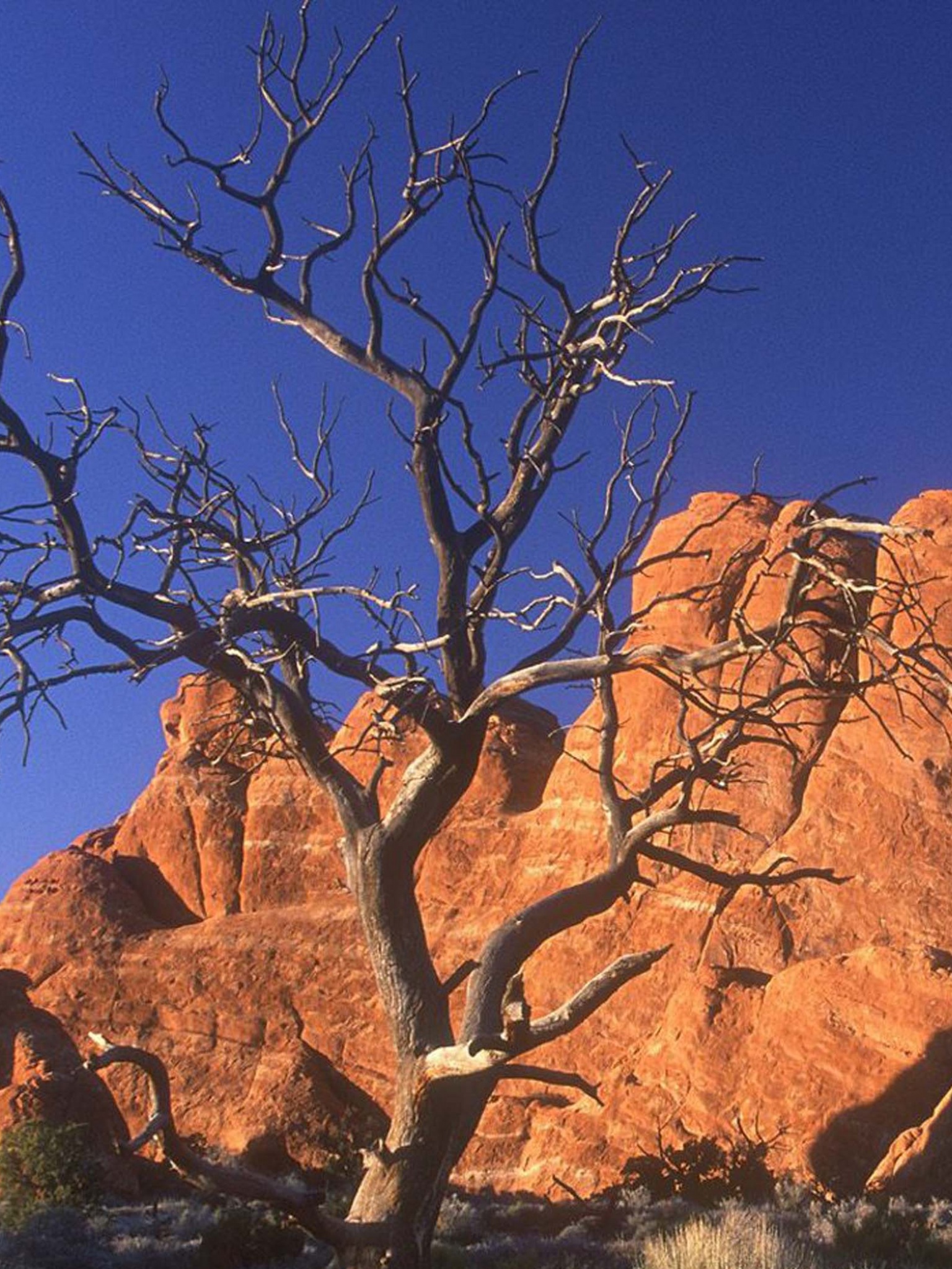 Arid Desert Utah