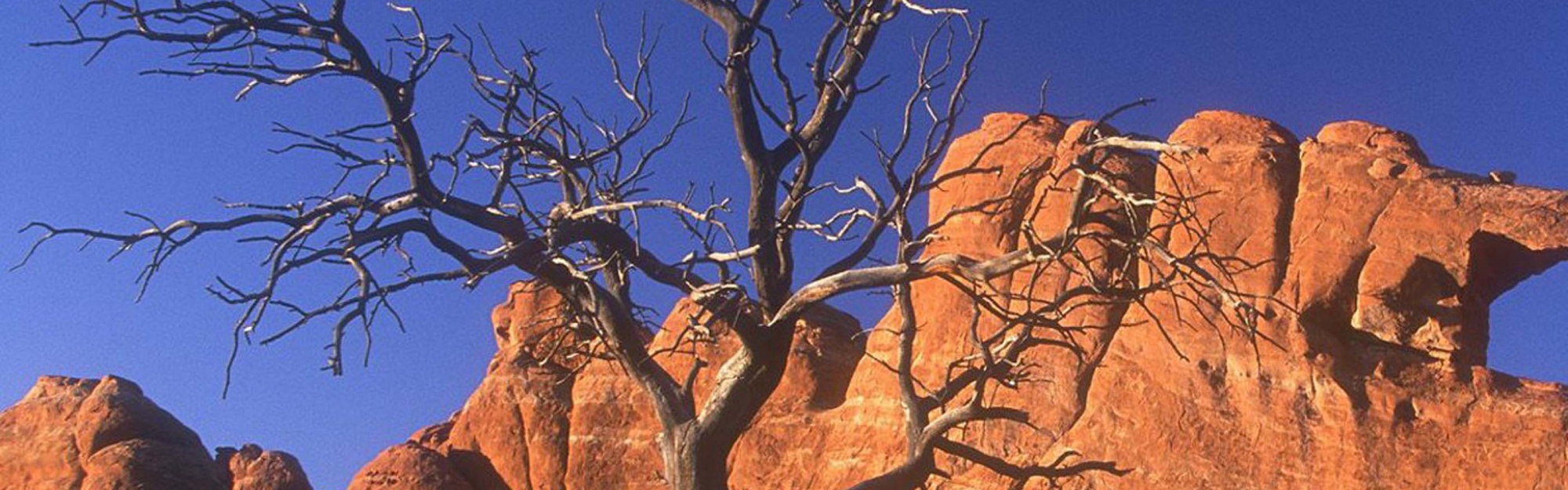 Arid Desert Utah