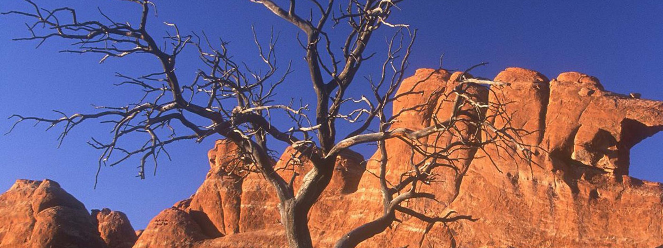 Arid Desert Utah