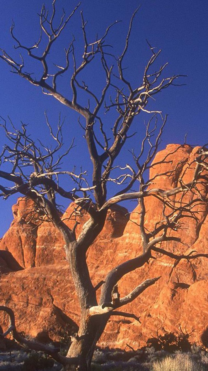 Arid Desert Utah