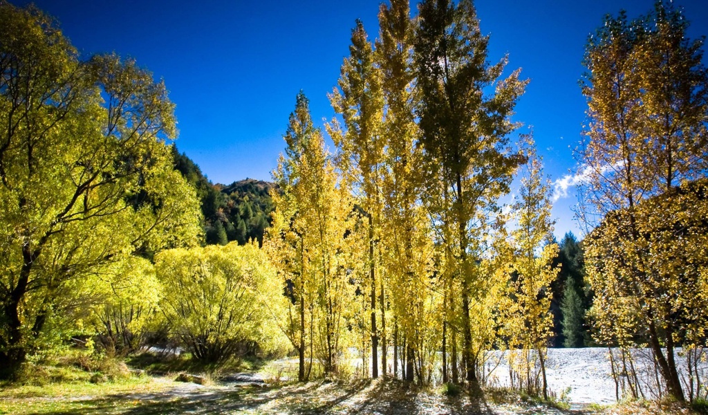 Arrowtown Autumn New Zealand