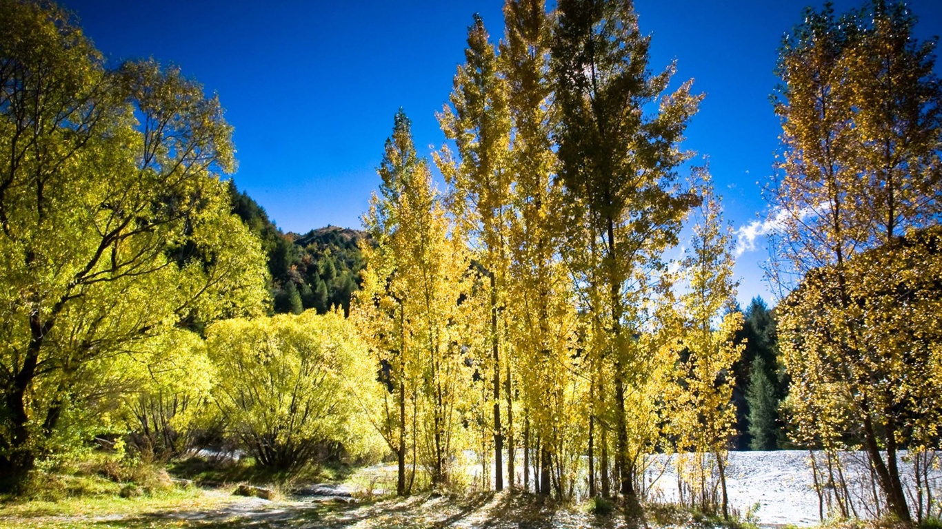 Arrowtown Autumn New Zealand