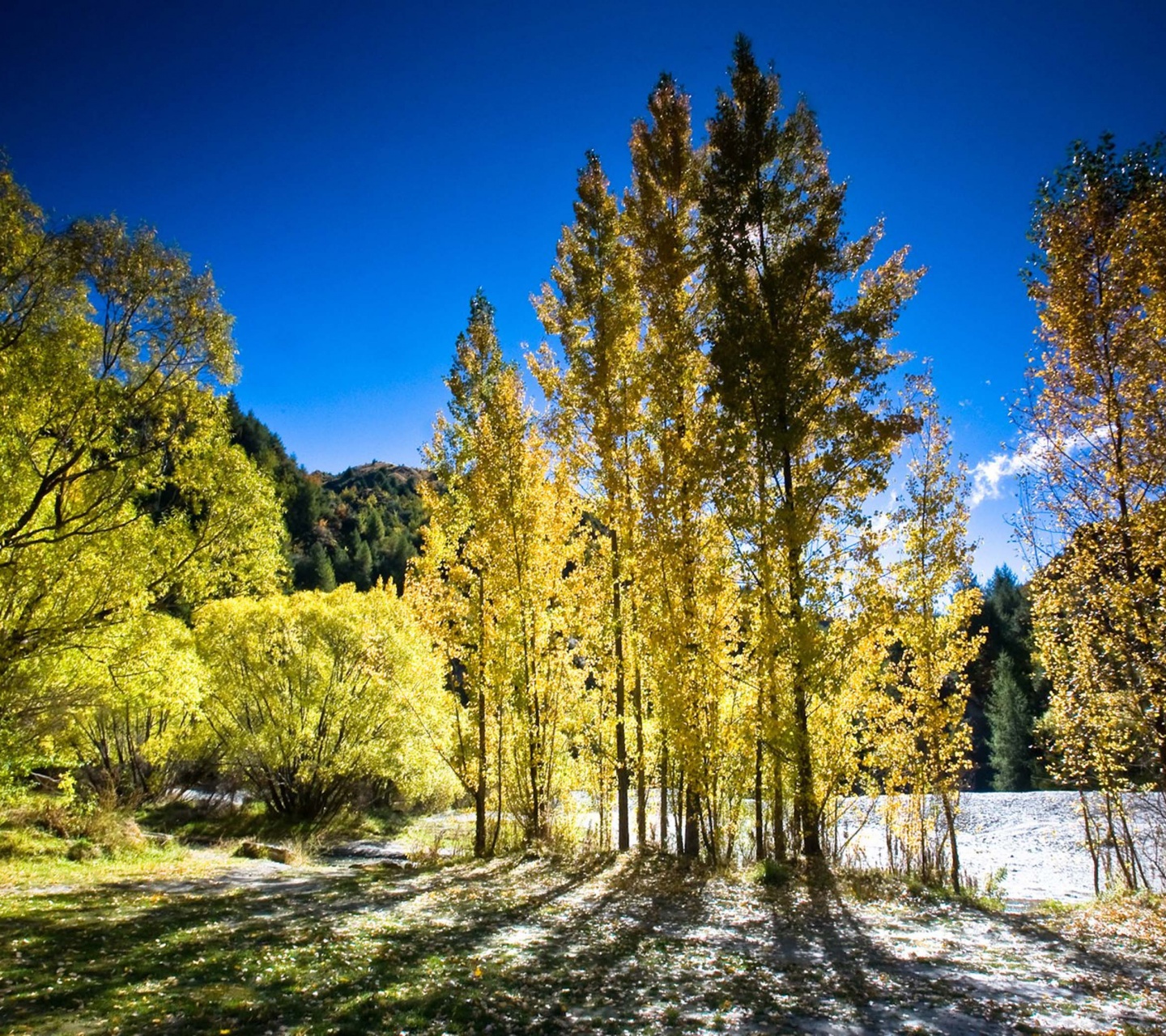 Arrowtown Autumn New Zealand