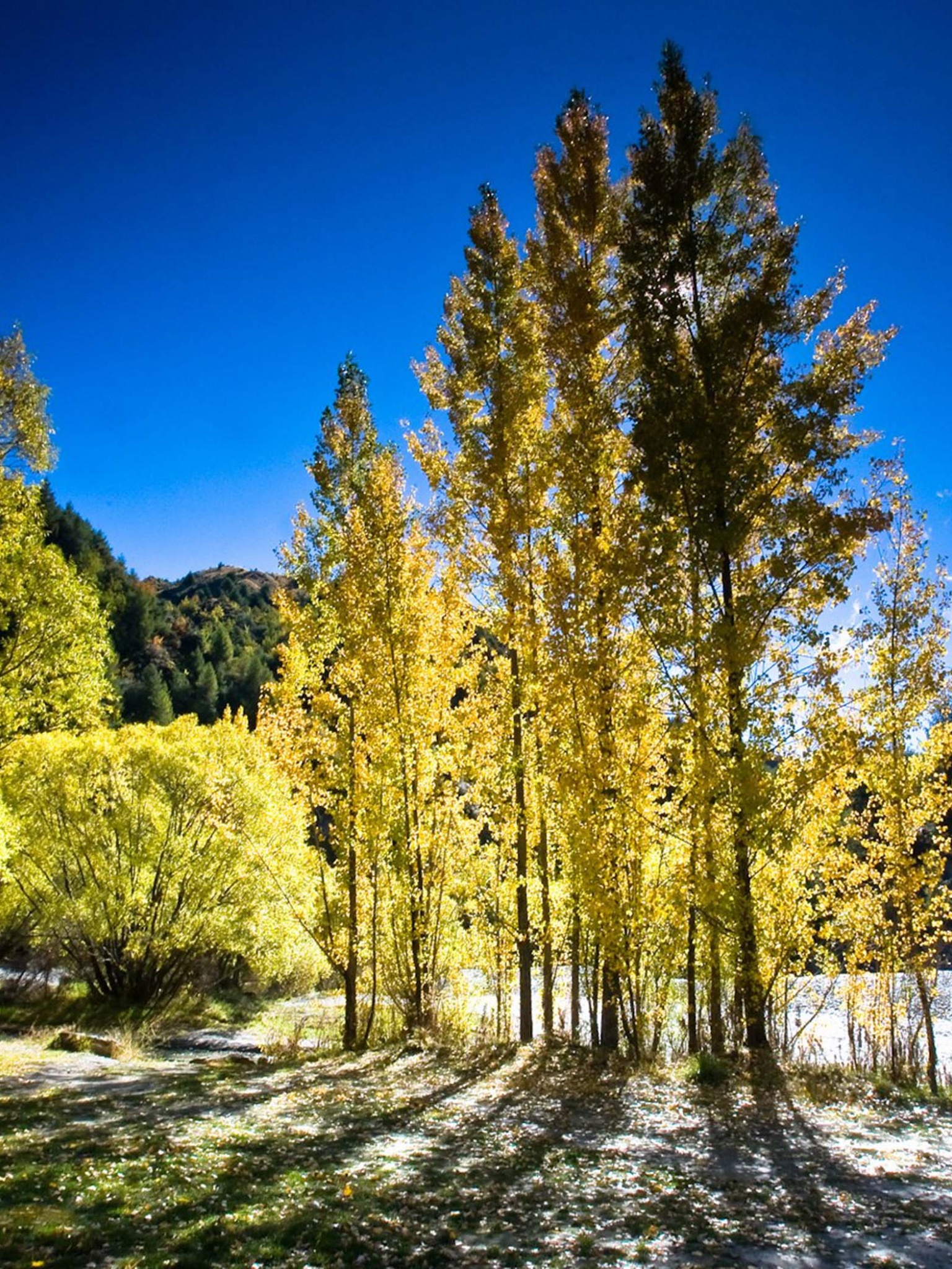 Arrowtown Autumn New Zealand