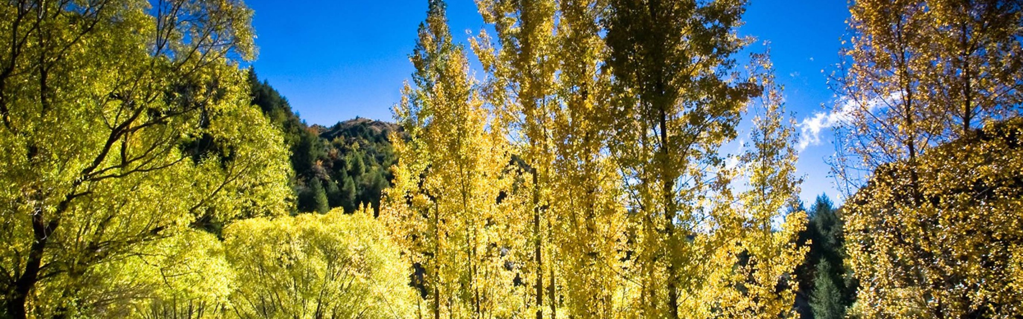 Arrowtown Autumn New Zealand