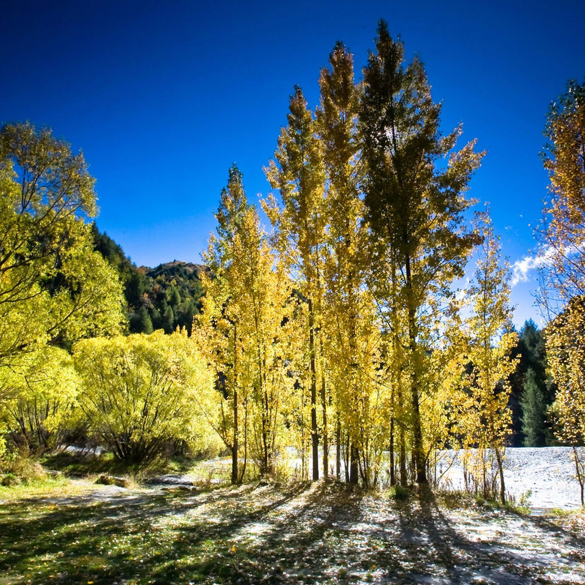 Arrowtown Autumn New Zealand