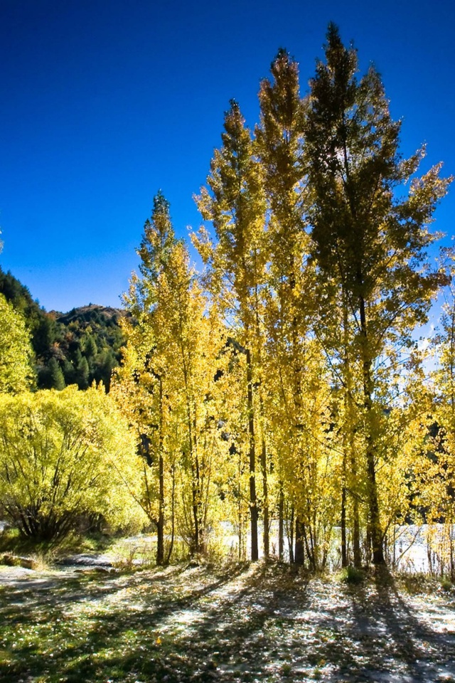 Arrowtown Autumn New Zealand