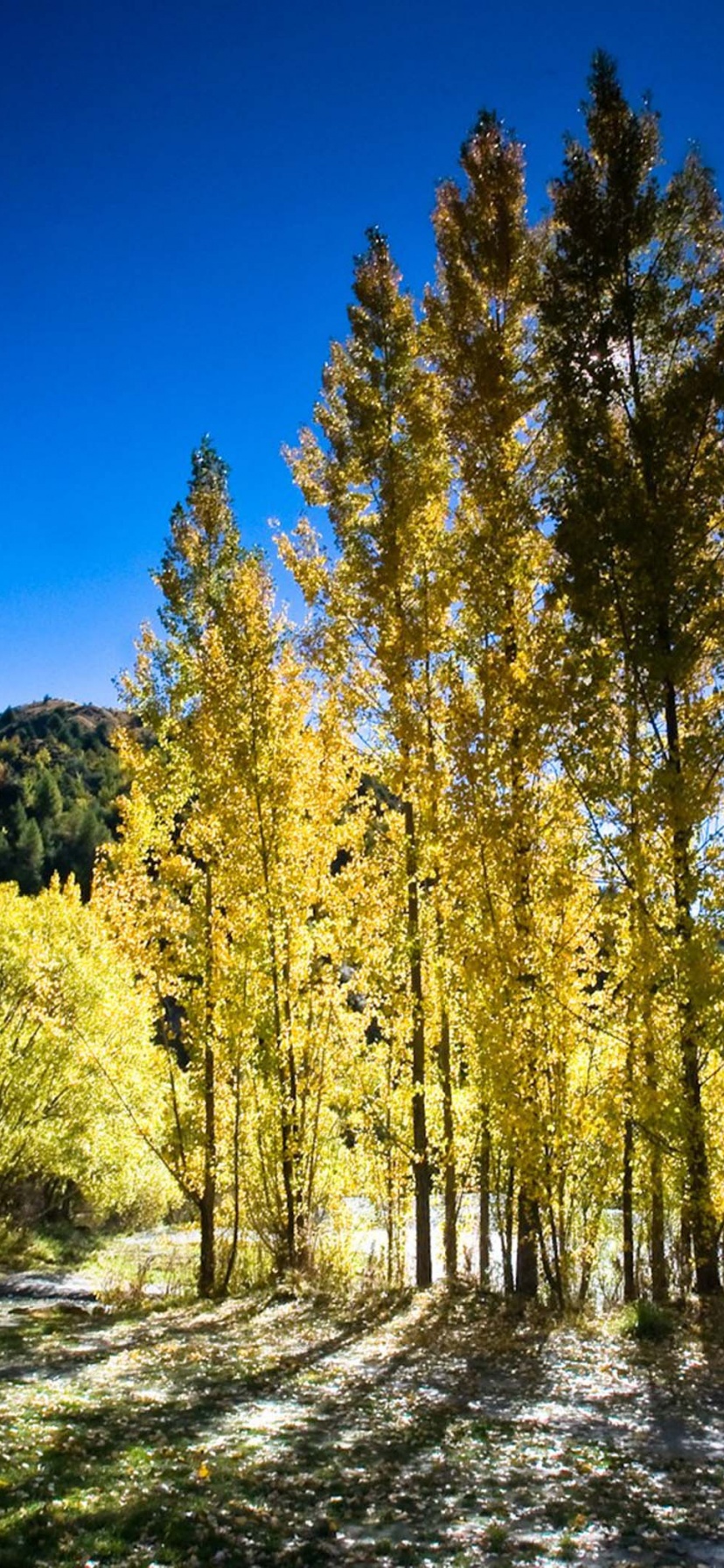 Arrowtown Autumn New Zealand