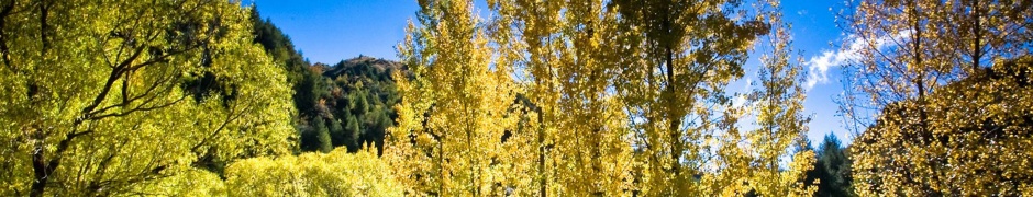 Arrowtown Autumn New Zealand