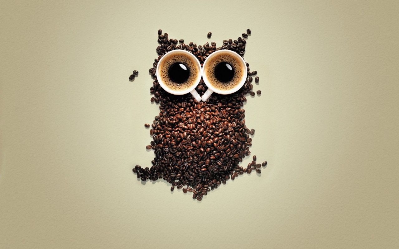 Artistic Coffee Funny Owls