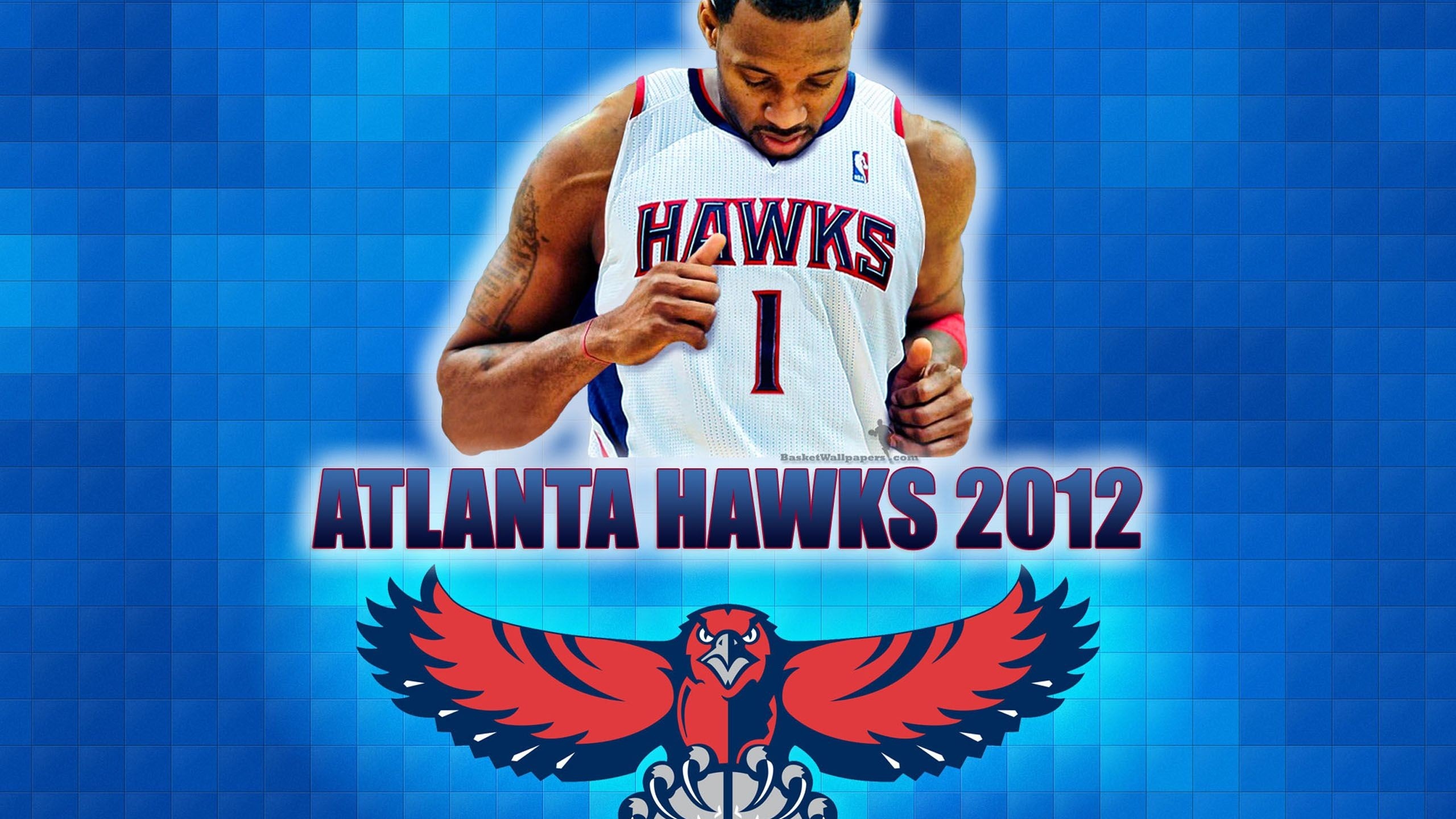 Atlanta Hawks American Professional Basketball Tracy Mcgrady