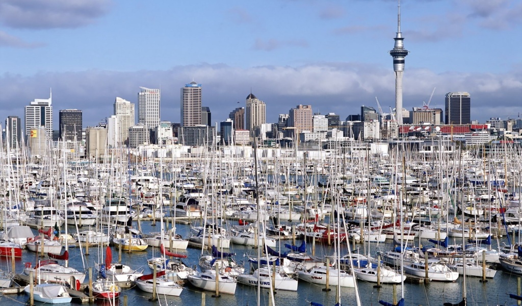 Auckland New Zealand Marina Yacht North Island