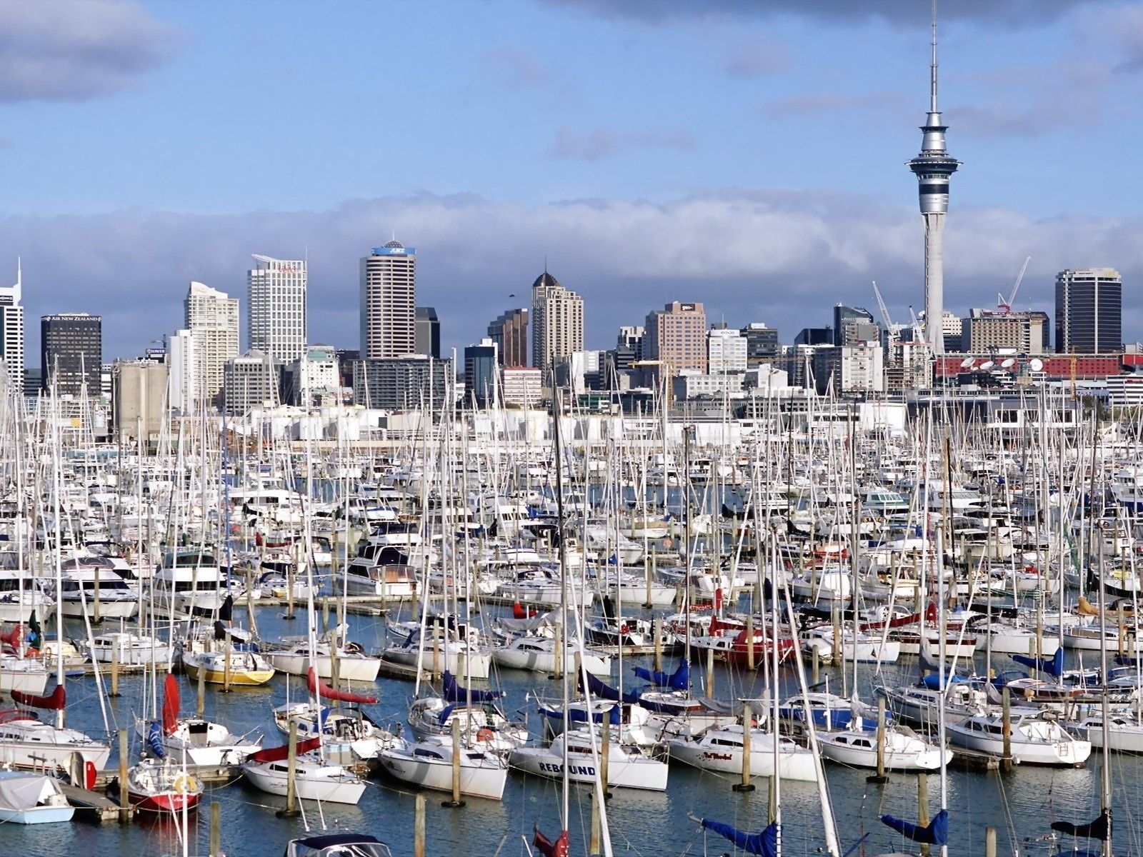 Auckland New Zealand Marina Yacht North Island