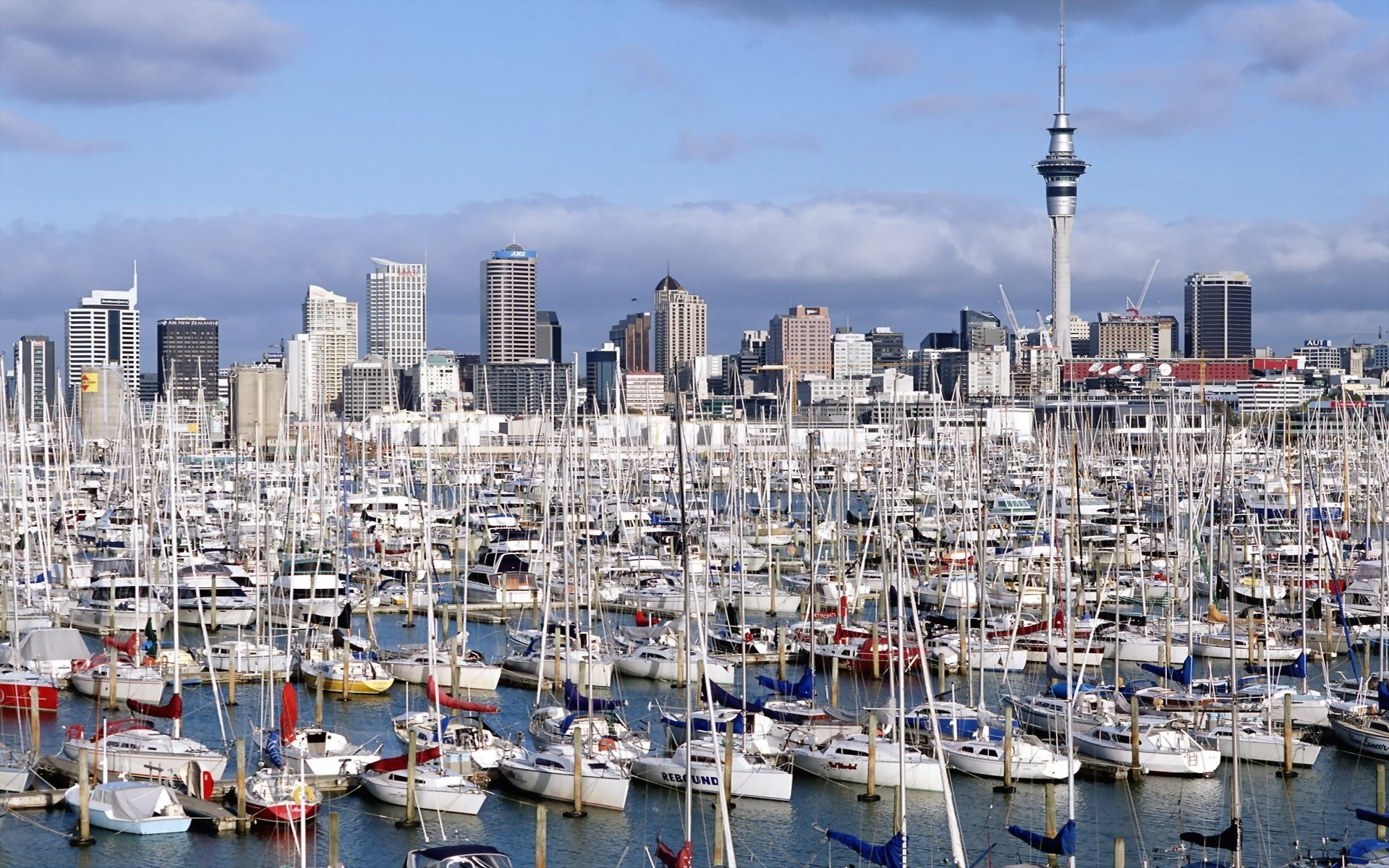 Auckland New Zealand Marina Yacht North Island