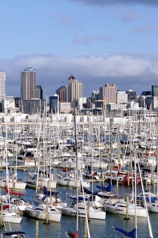 Auckland New Zealand Marina Yacht North Island