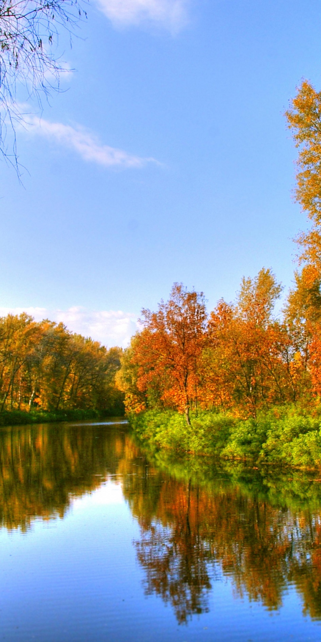 Autumn Color And River