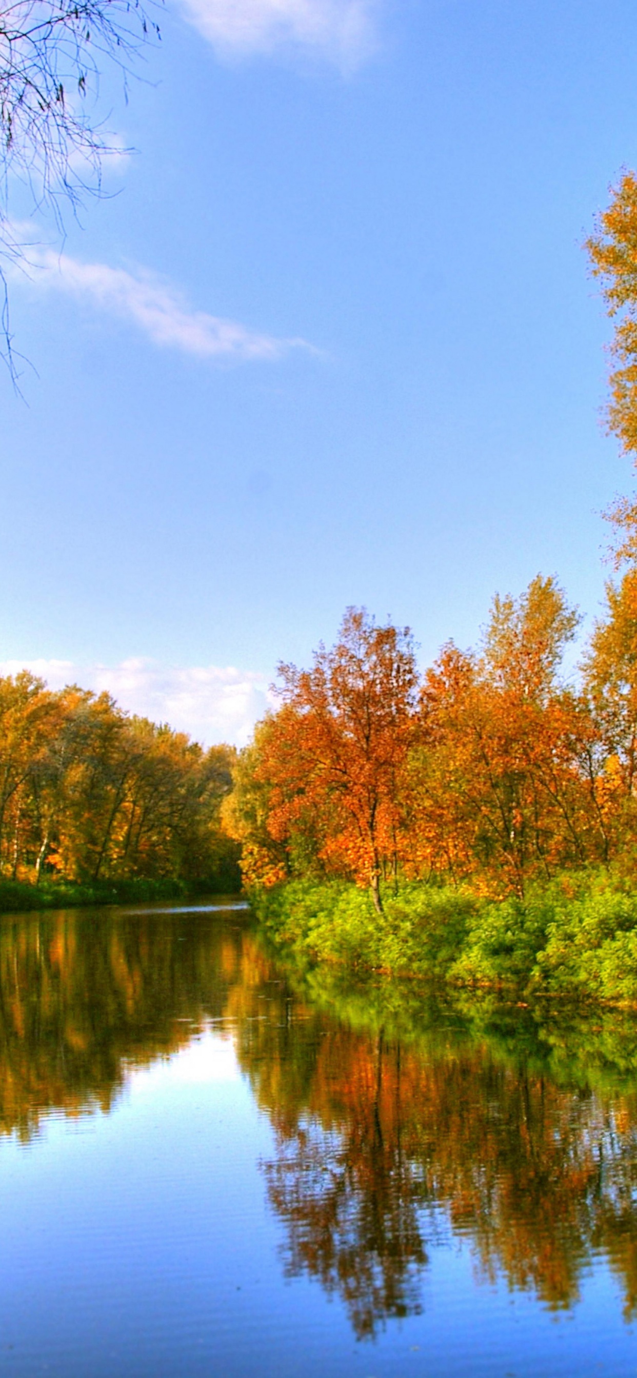 Autumn Color And River