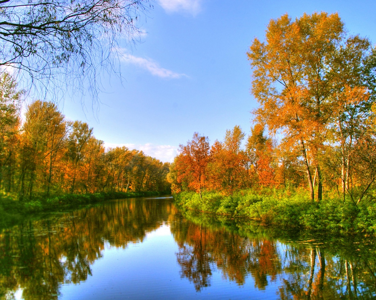 Autumn Color And River