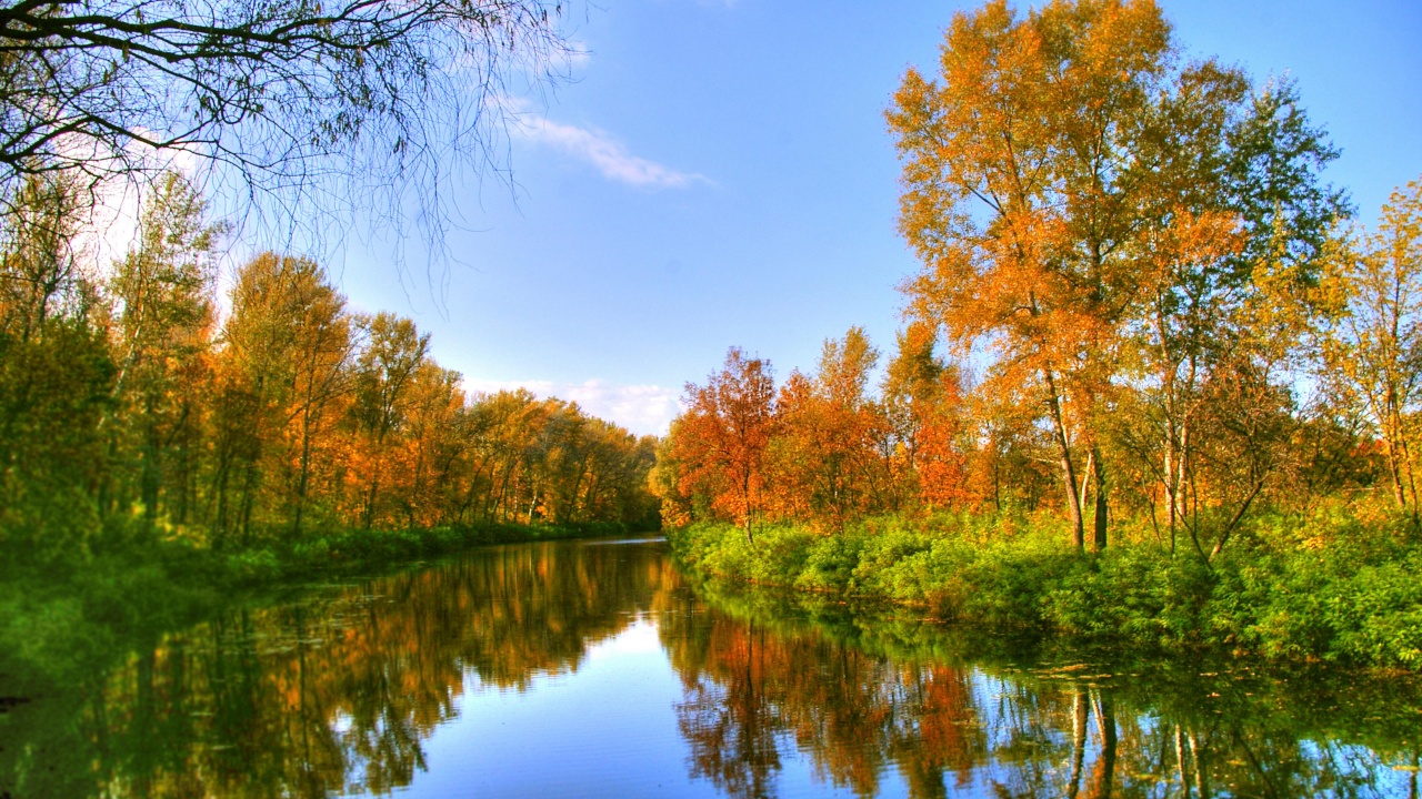 Autumn Color And River