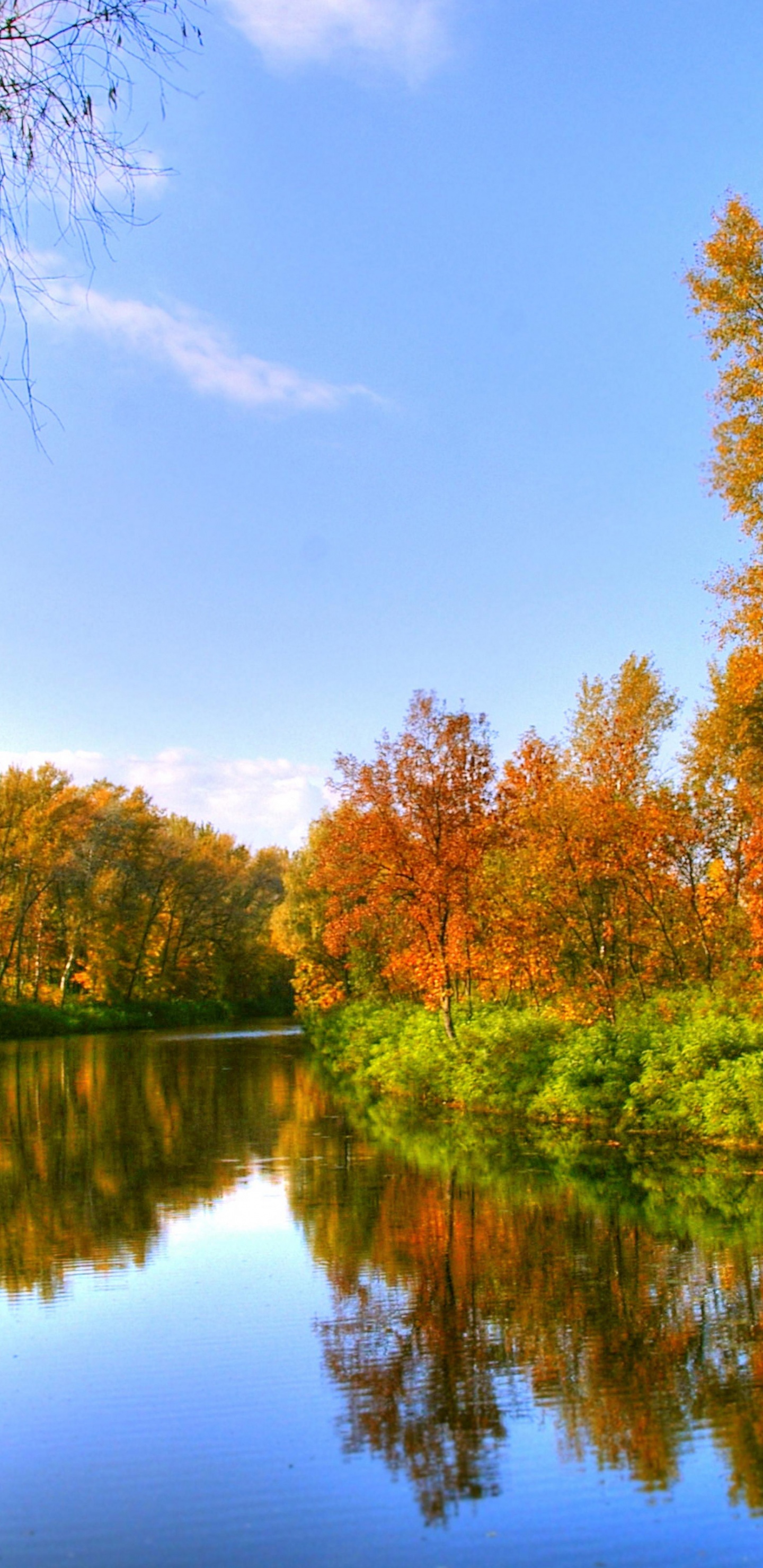 Autumn Color And River